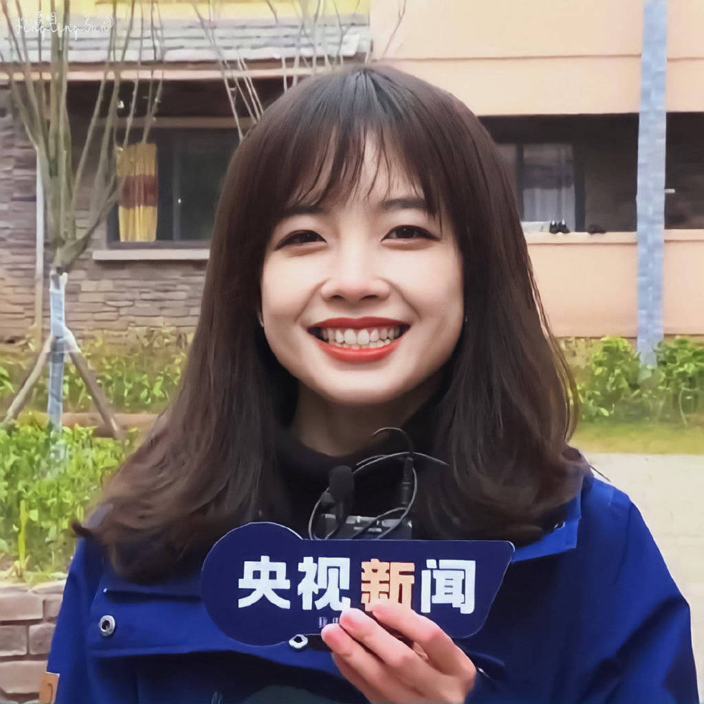 央視記者王冰冰個人簡歷年齡深度解析：探秘其職業生涯與成長軌跡