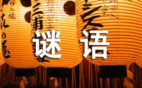 虛擬港灣的謎思：探秘新澳門天天免費謎語下一期的數字奇遇