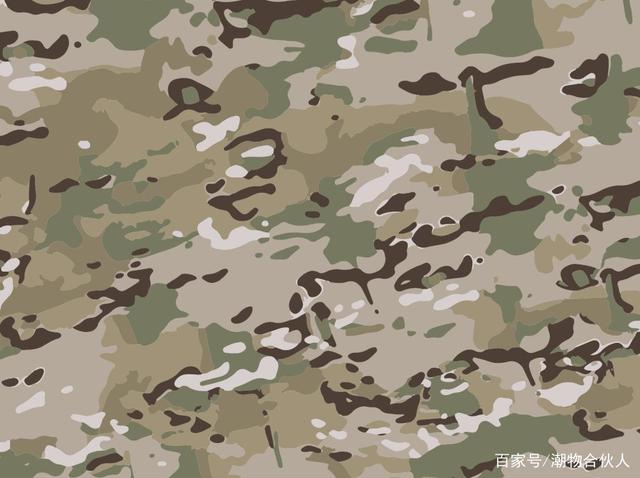 星空迷彩和叢林迷彩的場景聚合與多元勾勒：一場視覺與實戰的深度訪談