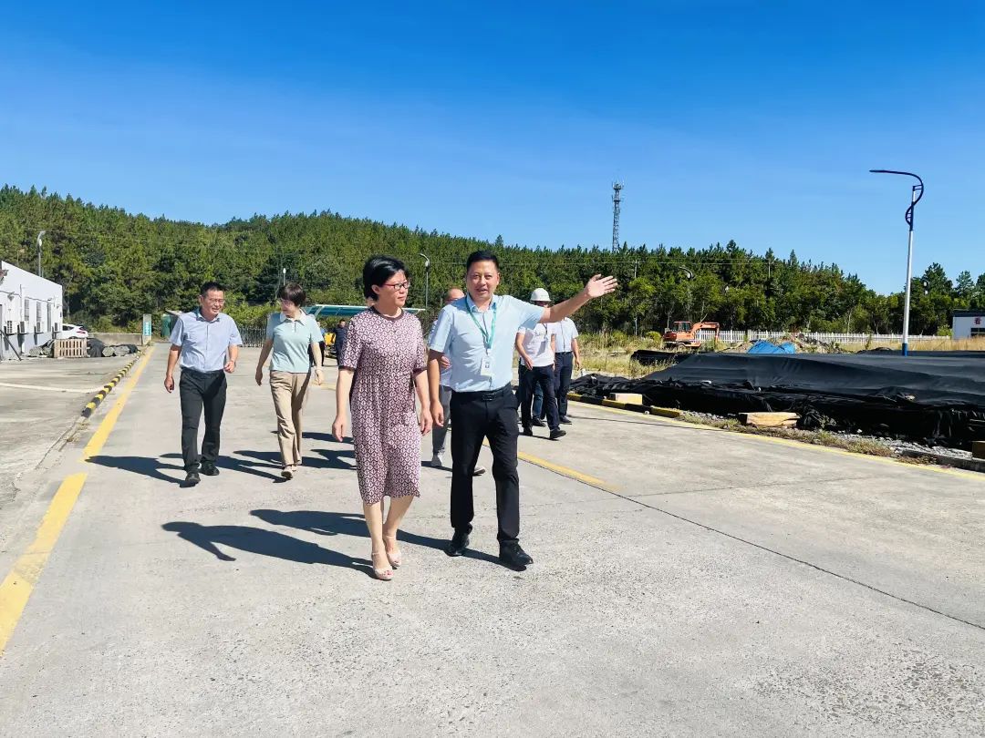 深秋茶館奇遇：解碼“新奧最精免費大全管家婆”的未來圖景