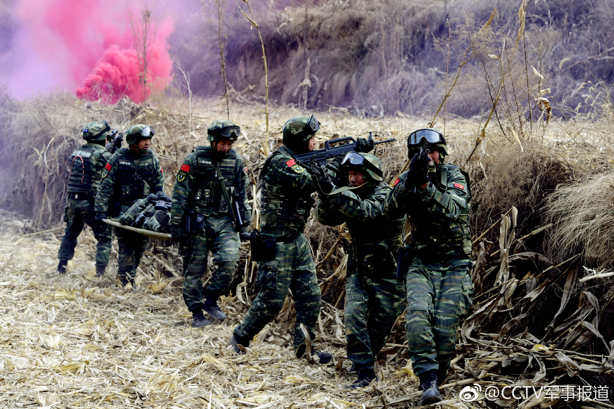 穿越數字之門:探訪中國武裝警察部隊學院官網的使命與榮光