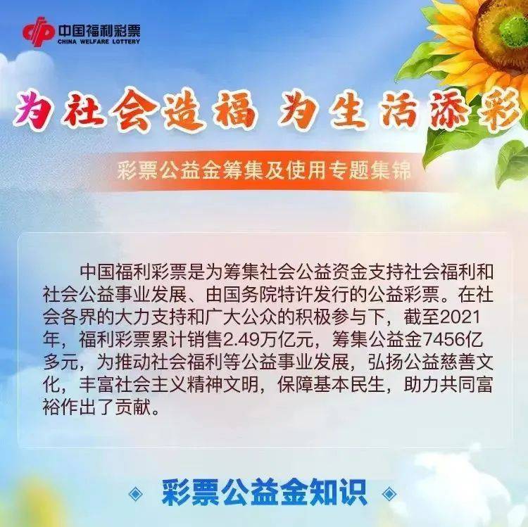 茶館奇遇：解碼‘天天彩好彩天天免費資料’的都市回響與理性思考