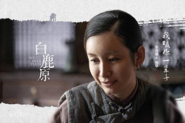秦海璐演過哪些電視劇深度解析：盤點其經典代表作與多樣化熒屏形象
