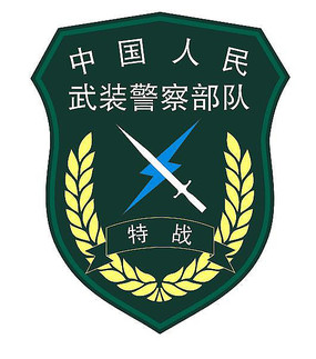 武警特戰臂章的沉思：一次老兵與青年的時光對話