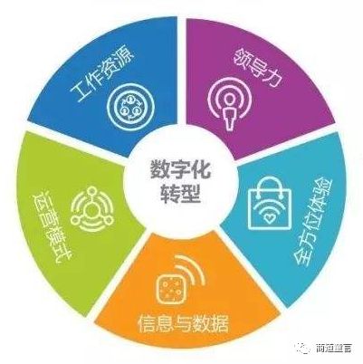 深海奇遇：揭秘新門內部免費資料的知識奇境