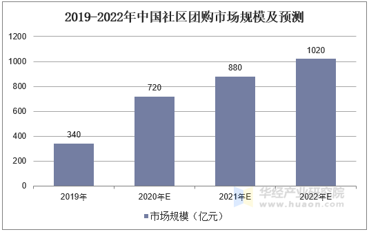 深度探秘72396王中王高手論壇：實戰解析、數據洞察與專家指引