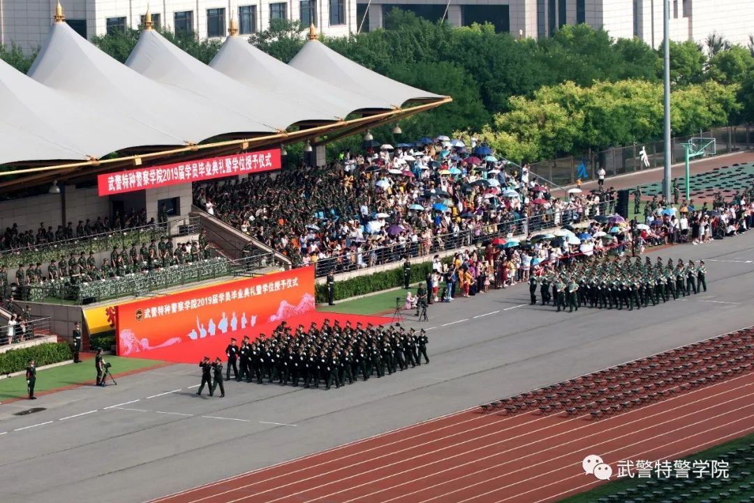 街角咖啡館里的思辨：中國人民武裝警察部隊特種警察學院出來是公務人員嗎？